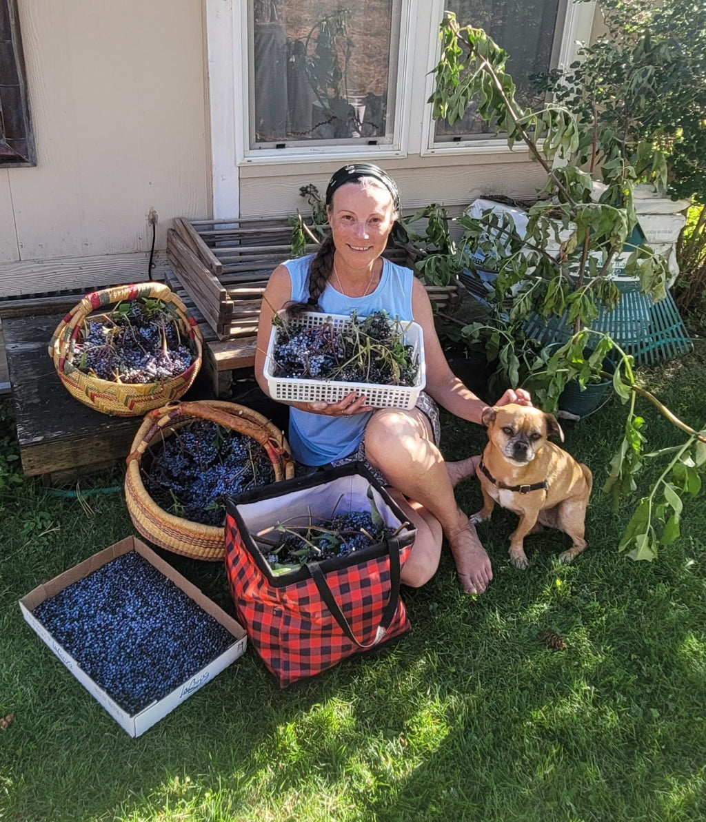 Elderberry & Orange Fire Cider