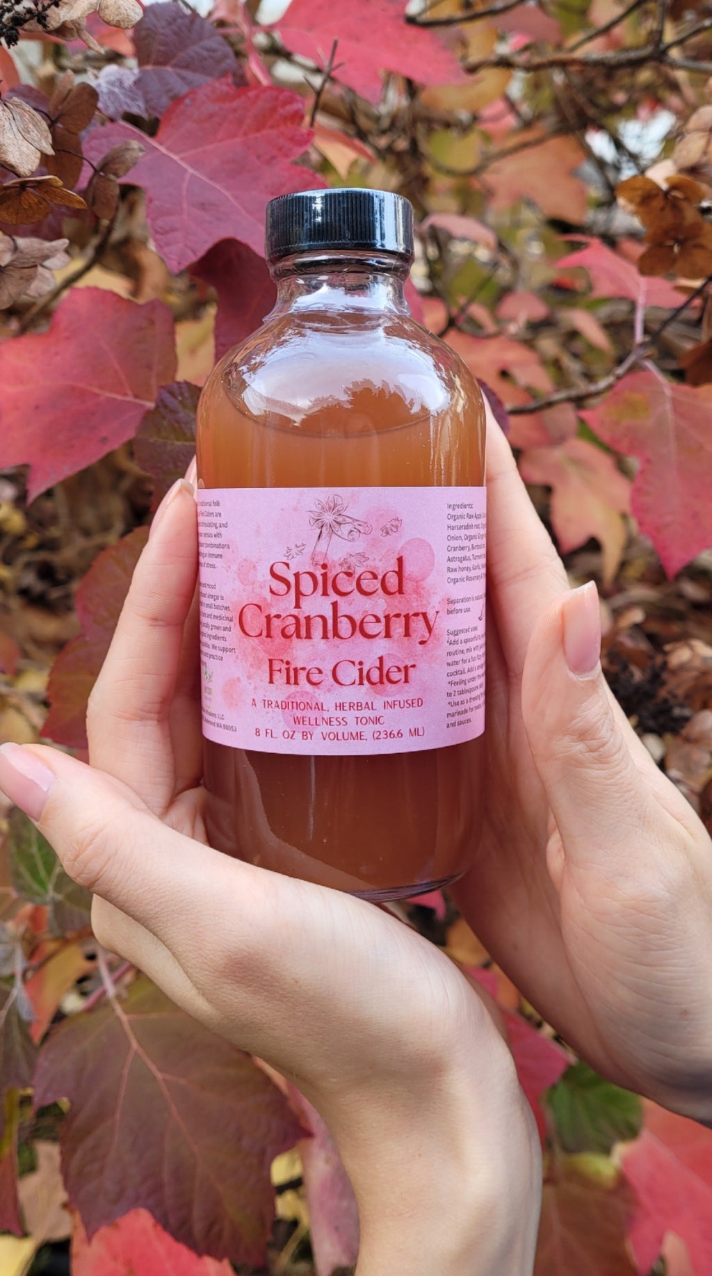 Spiced Cranberry Fire Cider
